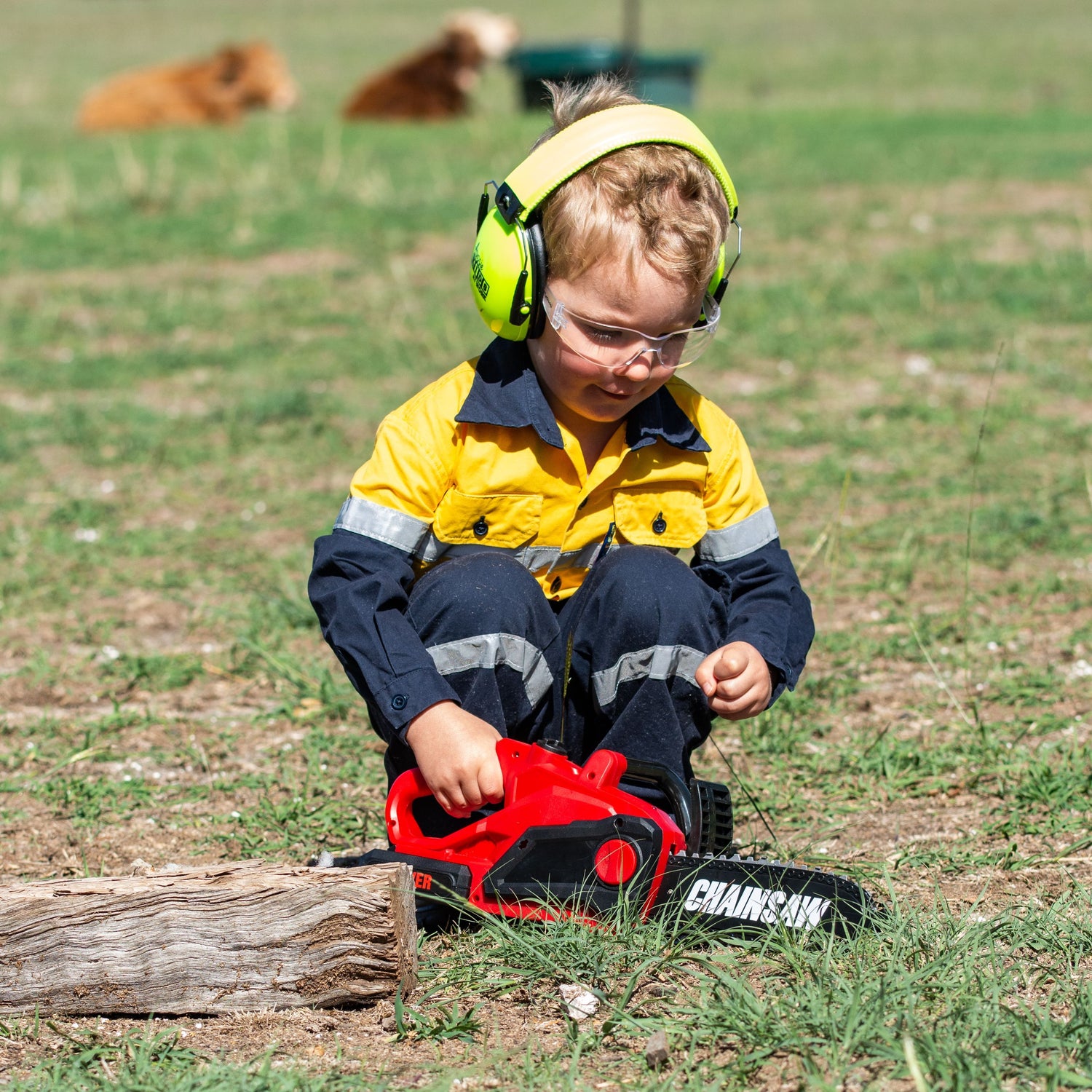 Ear Muffs